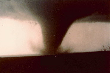 seymour.gif (46552 bytes)